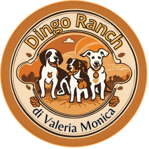Dingo Ranch 2